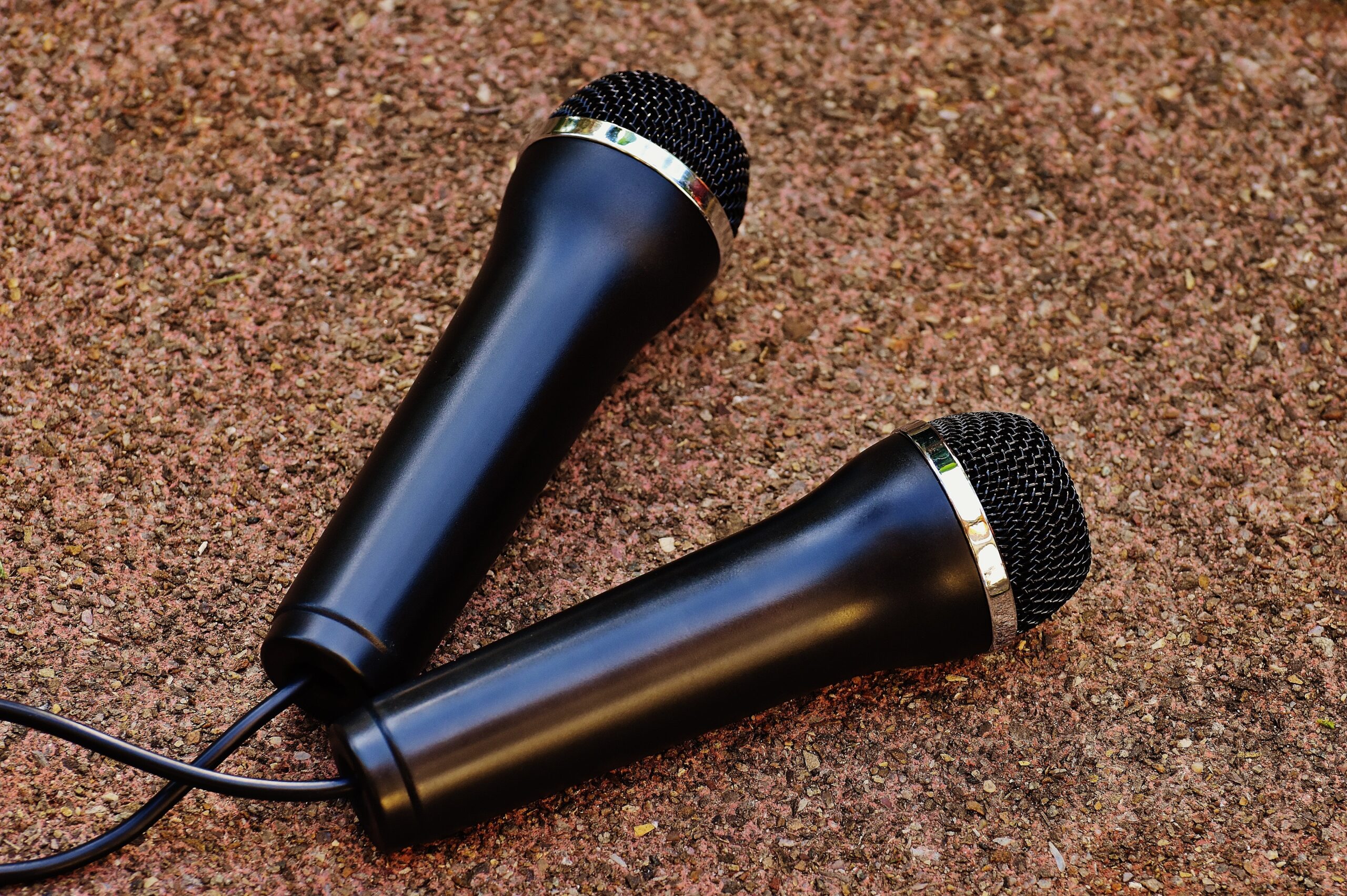 Best Mic For Recording Vocals